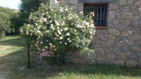  B&B Arghjola  Порто-Веккьо